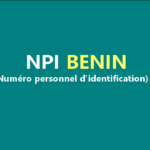 Comment obtenir votre NPI en ligne au Bénin facilement